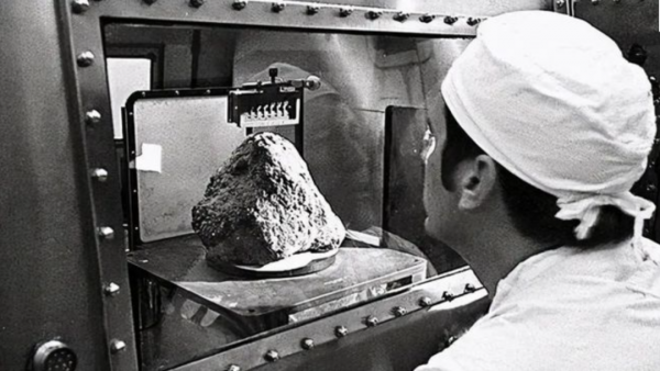 美國“送”給荷蘭的月球岩石是假貨？月岩變木化石，玩笑開大了