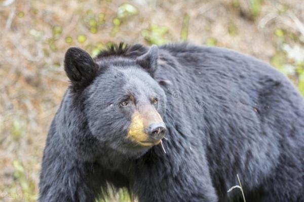 15個你不知道的冷知識,俄羅斯和美國最近竟然只差4公里? 15個你不知道的冷知識,俄羅斯和美國最近竟然只差4公里?