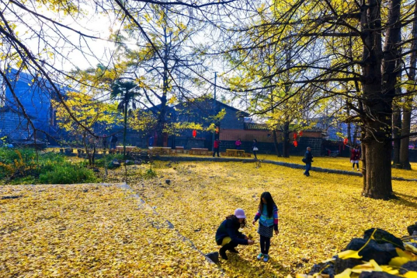 國內浪漫的20個旅行地，如果你們去過一半，那就結婚吧