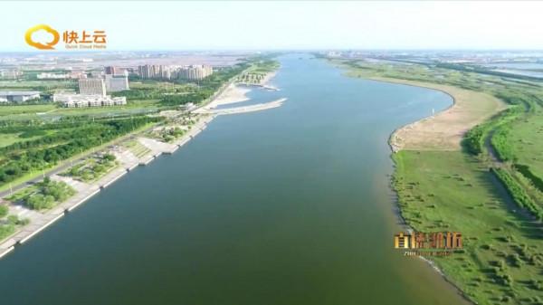 濰坊濱海：白鷺翩躚生態美