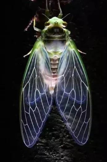 沒有發明紙之前，古人怎麼上廁所？