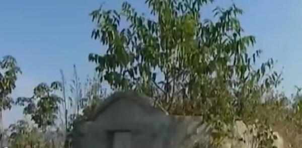 2006年，雲南男子打死一隻小象，1個月後妻子被象踩死