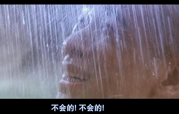 時隔20年，再看徐克的《青蛇》，才懂得小青和法海經歷了什麼