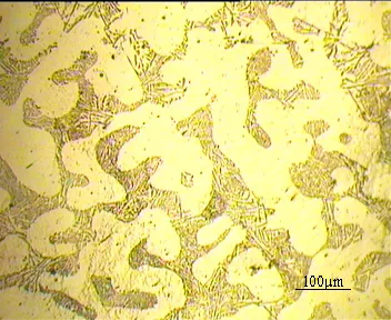 電流突變下磁場和半固態A356鋁合金組織的變化