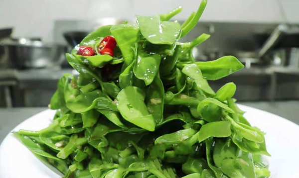 7種“養生花”，漂亮又好養，家中養一盆，食用價值高