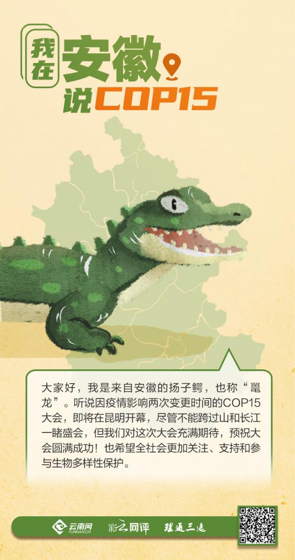 我在安徽說COP15:“多樣世界”讓我們不再孤單 我在安徽說COP15:“多樣世界”讓我們不再孤單