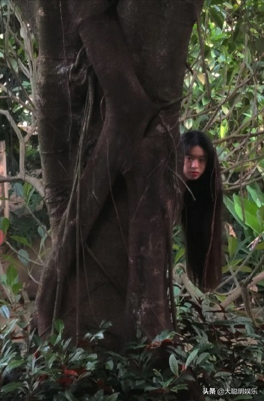 “周迅式寫真”遭粉絲翻拍，網友戲稱：笑不活了