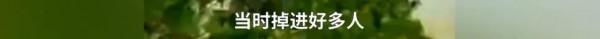 泰山緊急通知！網友：壓力“泰”大