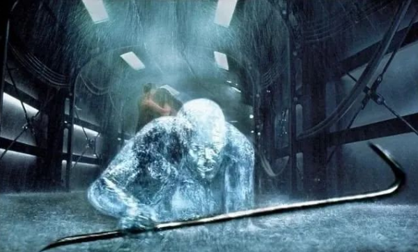 另闢蹊徑！陸地上的生物為了“隱身”，把自己壓成了“餅”