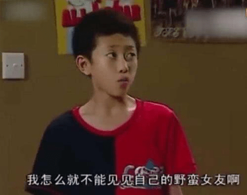 《家有兒女》引熱議，究竟是童年還是在毀童年，臺詞預言竟實現了