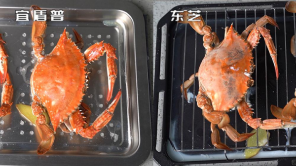 5000元價位微蒸烤一體機大比拼，東芝VS宜盾普，誰的表現更出色？