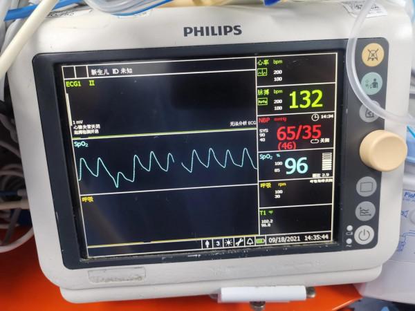 感嘆生命之頑強
