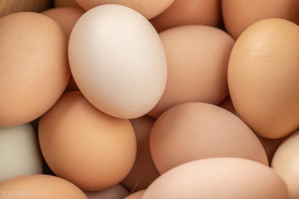 買雞蛋,挑“紅殼”還是“白殼”?弄懂再買,便宜也能買到好雞蛋 買雞蛋,挑“紅殼”還是“白殼”?弄懂再買,便宜也能買到好雞蛋