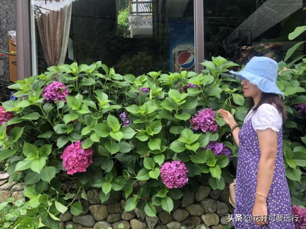 人生很短，天涯很遠，2022如若疫情淡去，唯旅行美食不可負也？