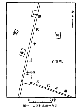 陝西長安縣灃西大原村西周墓葬 陝西長安縣灃西大原村西周墓葬