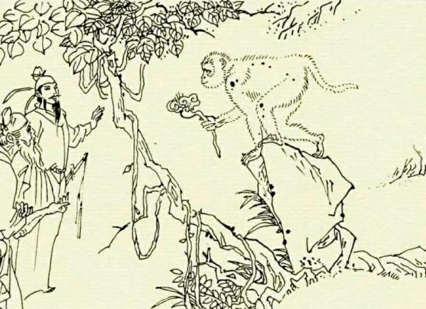 民間故事：員外心善幫猴子療傷，5個月後，猴子救了他孫子一命