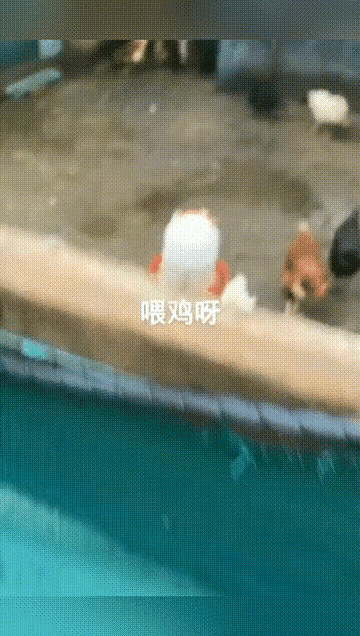 寶強哥和楊冪姐