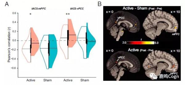 腦科學日報：利用alpha頻率神經調控提高預設網路連線性
