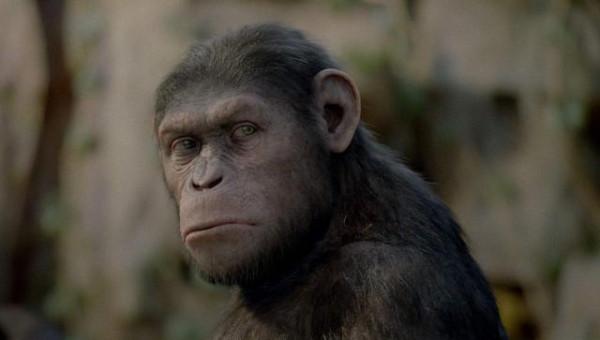 黑人基因與白人、黃種人哪個更近？基因相似度或解開人類起源之謎