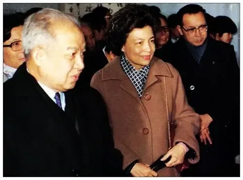 對越自衛反擊戰中，有哪些國家公開支援中國？