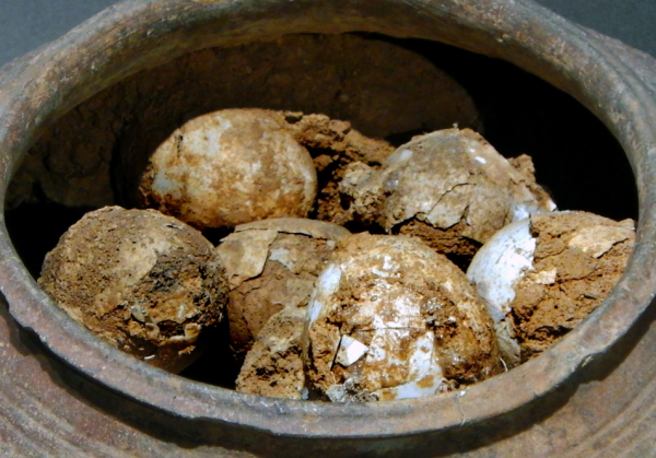 濟南老農意外挖出純金塊,專家聞訊趕來後,發現了一盒西漢雞蛋 濟南老農意外挖出純金塊,專家聞訊趕來後,發現了一盒西漢雞蛋