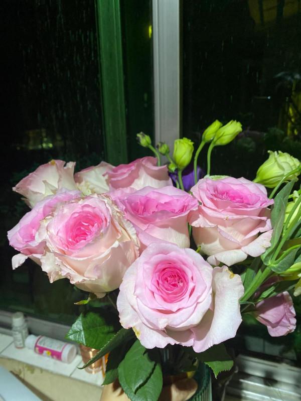 冬天暖色系的花朵