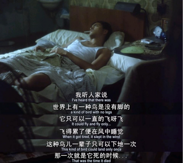 王家衛，別裝了