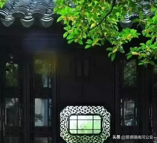 詩詞|無蟬鳴,不夏天!詠蟬詩20首 詩詞|無蟬鳴,不夏天!詠蟬詩20首