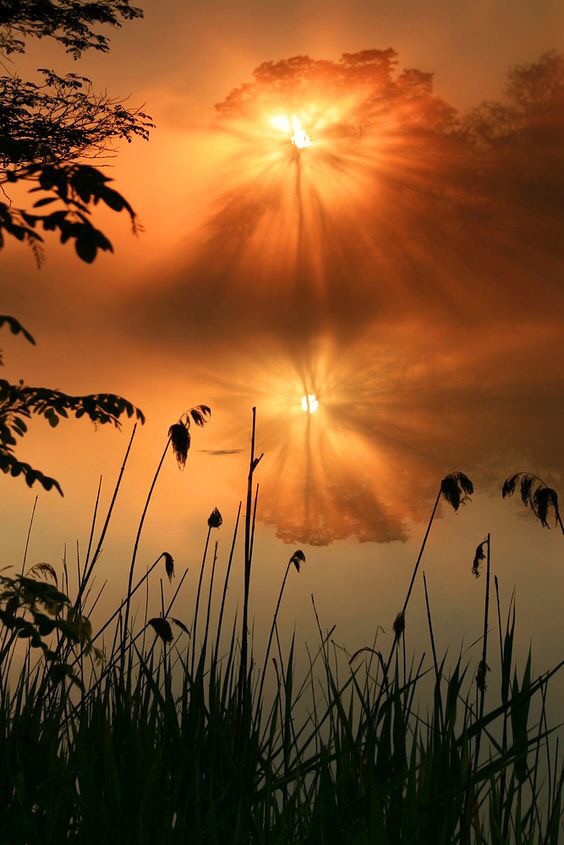 《在樹林裡》有些事帶有年輕的屬性，別給自己留下遺憾