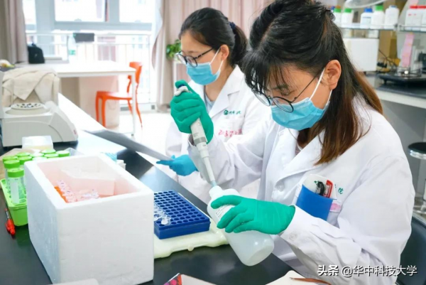 華中大牽頭！國家重點研發計劃專案獲批立項