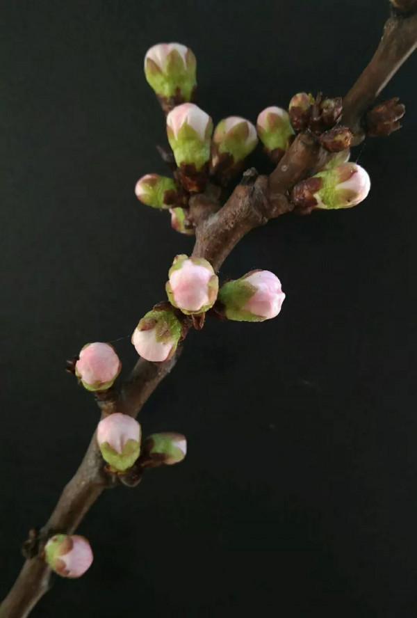 鄉村旅遊產業如何為遊客建構&OpenCurlyDoubleQuote;個人化的、值得回憶&rdquo;的旅遊體驗