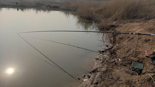 冬釣建議先找魚窩再下竿，只要是天然魚窩，一般都滿足這三個特點