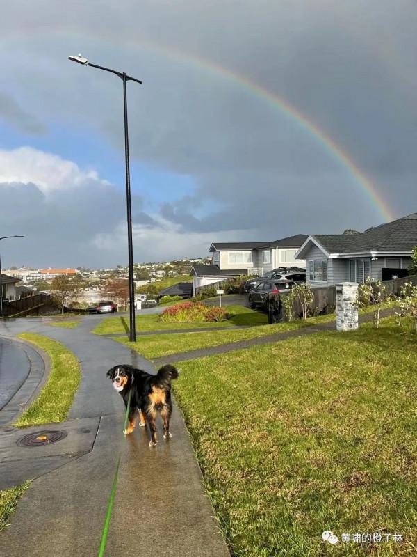 有善待它們的機會是很大的福份
