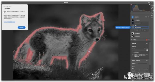 最詳細教程：最新ACR14&period;2獨立安裝包（Win&plus;Mac）