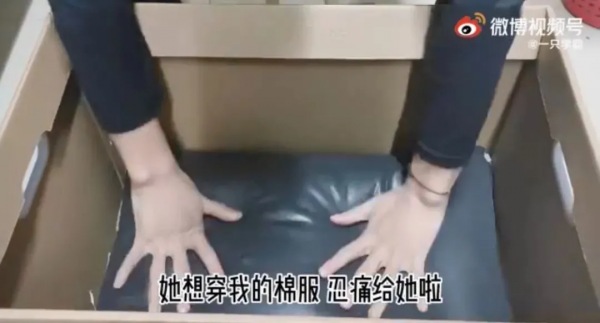 張智霖遺言看哭網友：袁詠儀，你錢夠花，我就安心了