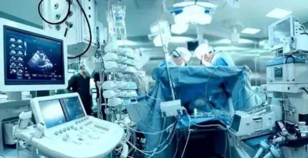 “蠱”究竟指的是什麼？為什麼歷朝律法對養蠱的處罰如此嚴厲？