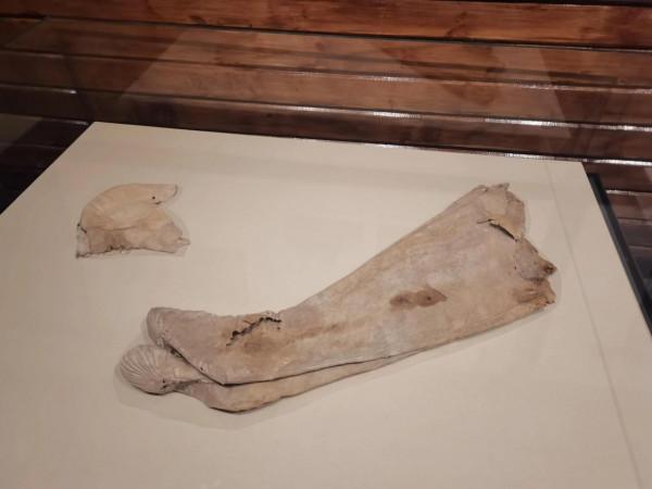 新疆維吾爾自治區博物館館藏精品（二）