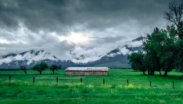 活得任性,也過得坦然的星座,玩世不恭,實則早已看破,大智若愚 活得任性,也過得坦然的星座,玩世不恭,實則早已看破,大智若愚
