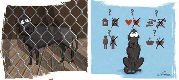 給流浪狗安家容易，改變它流浪的辛難，其實你只需要這麼做…漫畫