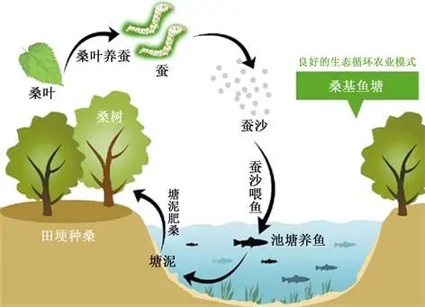 中國的糧食基地是怎樣煉成的? 中國的糧食基地是怎樣煉成的?