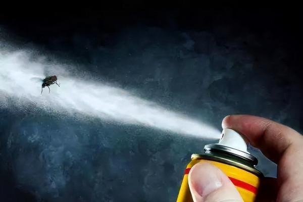 你家廁所裡有這種小飛蟲嗎?它發起飆來醫生也怕,教你3招消滅它 你家廁所裡有這種小飛蟲嗎?它發起飆來醫生也怕,教你3招消滅它