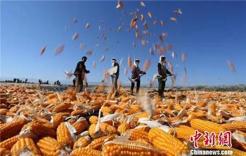 億萬中國農民,節日快樂 億萬中國農民,節日快樂