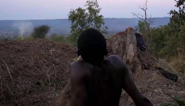 現實版活著，非洲小夥賣炭難度堪比取經，忙碌半個月收入不足百元