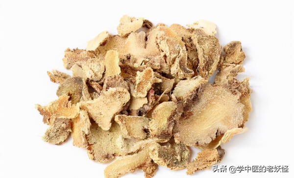 收斂止血之要藥——白及 收斂止血之要藥——白及