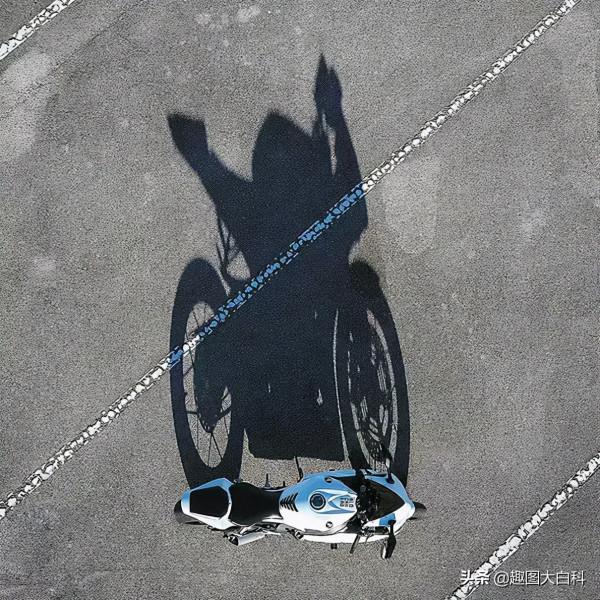 30個巧合圖片,奧特曼快來這裡有怪獸,鴨子居然和哈士奇結合了 30個巧合圖片,奧特曼快來這裡有怪獸,鴨子居然和哈士奇結合了