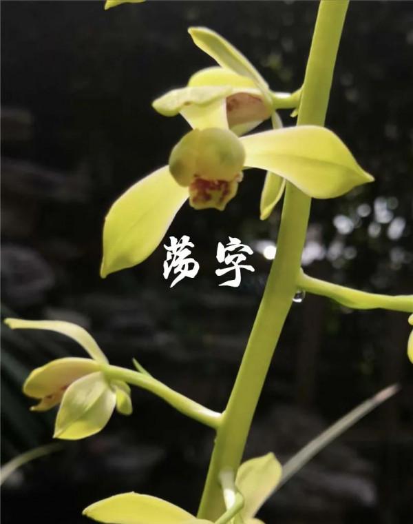 為什麼很多人養花養不活