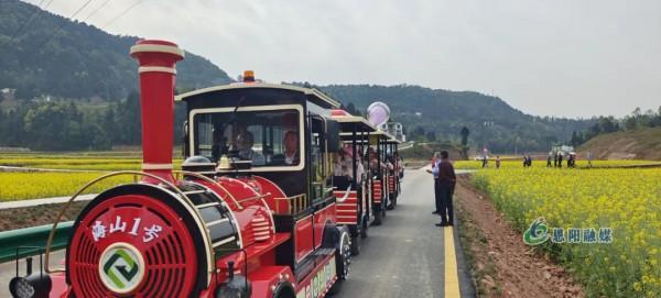 「圖集」直擊恩陽首屆油菜花節現場