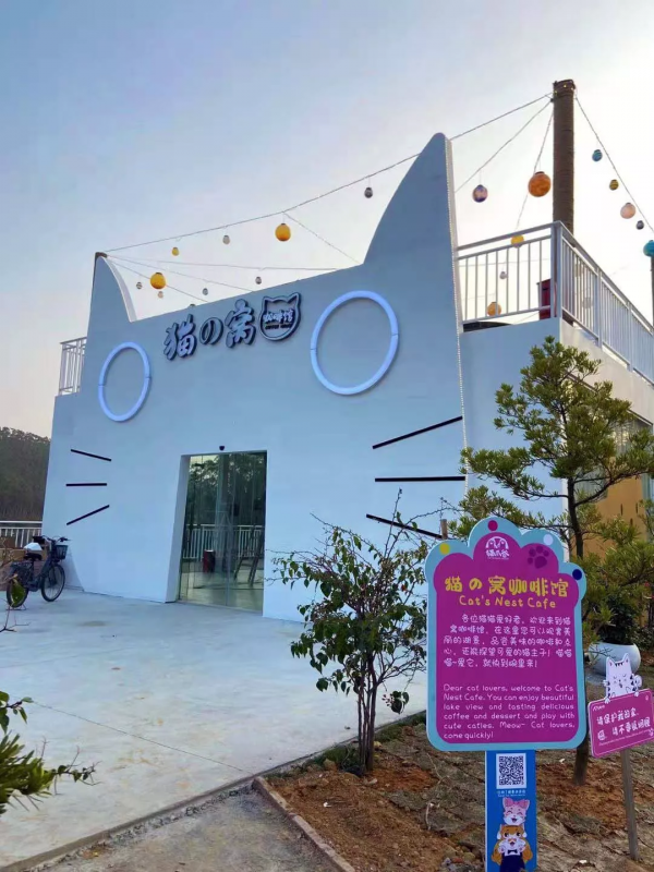 國慶去哪玩?廣東首個以萌貓為主題的景區,度假!擼貓!好開心 國慶去哪玩?廣東首個以萌貓為主題的景區,度假!擼貓!好開心