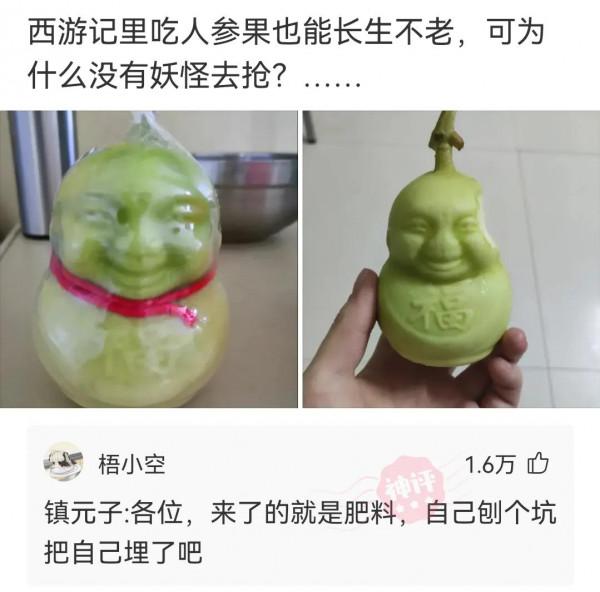 求Steam玩家分佈？神評：俄羅斯人口一億，Steam俄羅斯人口兩億