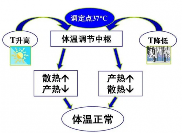 從科學角度分析,凍死和熱死,哪一種更好受一些? 從科學角度分析,凍死和熱死,哪一種更好受一些?